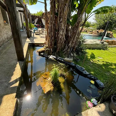 Bellevue Villa *