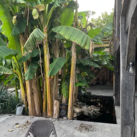 Bellevue Βίλα Roquebrune