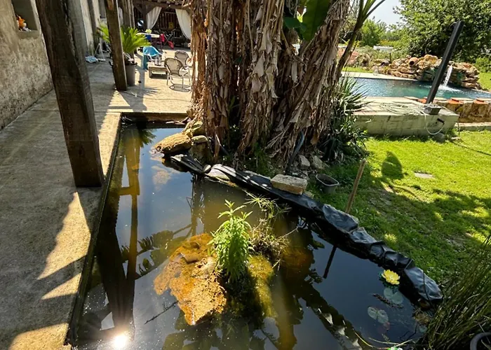 Bellevue ヴィラ *