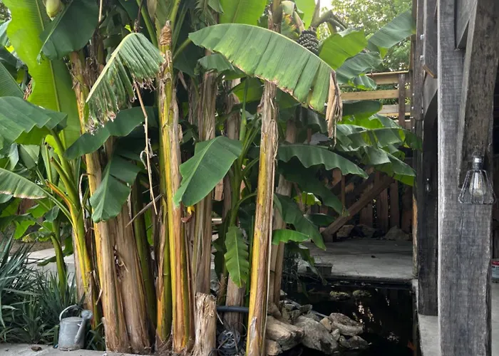 Bellevue Villa Roquebrune